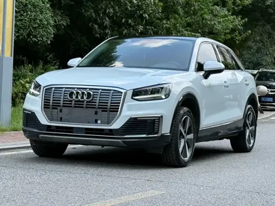 Audi Q2L e-tron