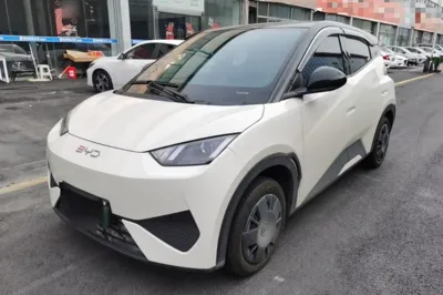 BYD Seagull