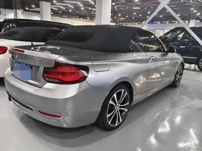 BMW 2 Series (Import)