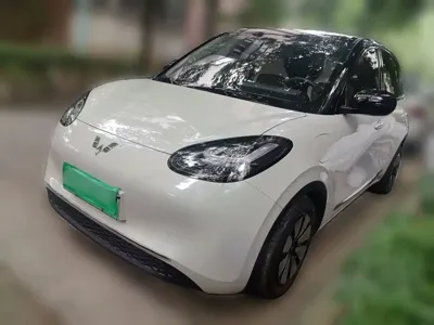 Wuling Bingo