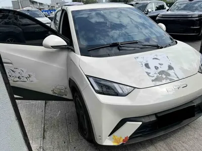 BYD Seagull