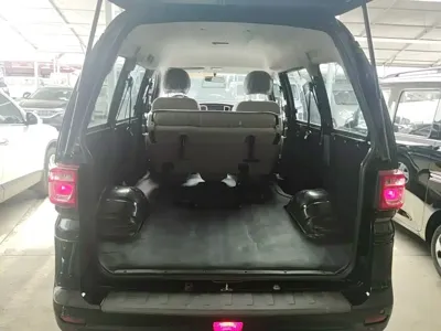 Fengxing Lingzhi