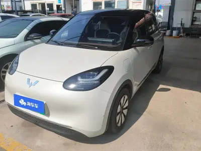 Wuling Bingo