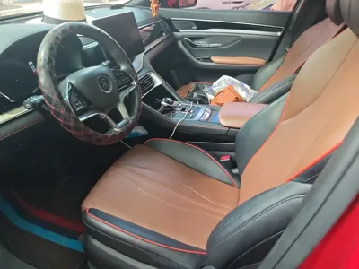 BYD PLUS