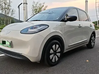 Wuling Bingo