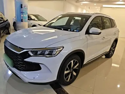BYD Pro New Energy