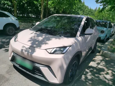 BYD Seagull