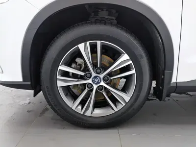 BYD Pro