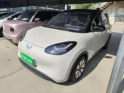 Wuling Bingo