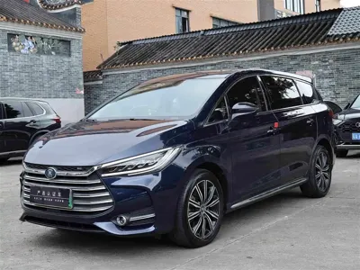 BYD MAX New Energy