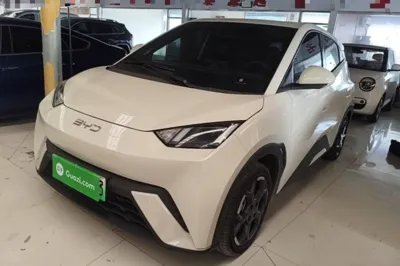 BYD Seagull