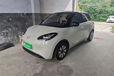 Wuling Bingo