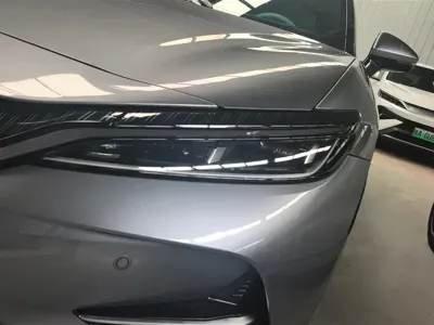 BYD L EV