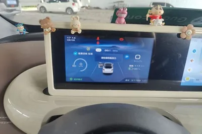 Wuling Bingo