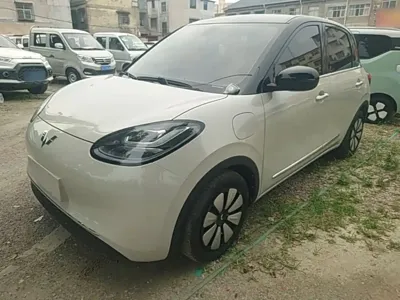 Wuling Bingo