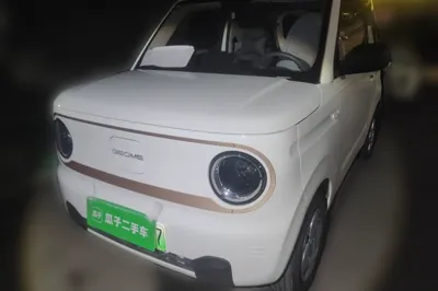 Geely Galaxy Panda