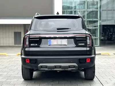 Haval Big Dog