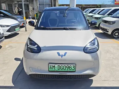 Wuling Bingo
