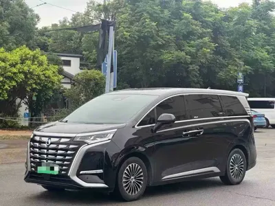 Denza Denza D9