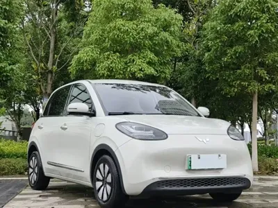 Wuling Bingo
