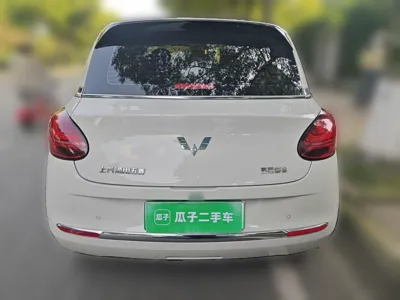 Wuling Bingo