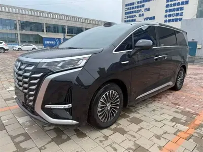 Denza Denza D9