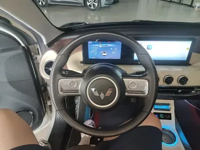Wuling Bingo