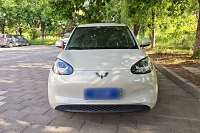 Wuling Bingo