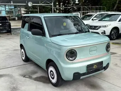 Galaxy Panda