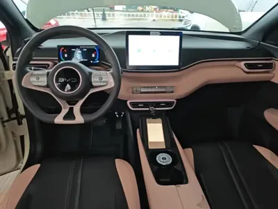 BYD Seagull