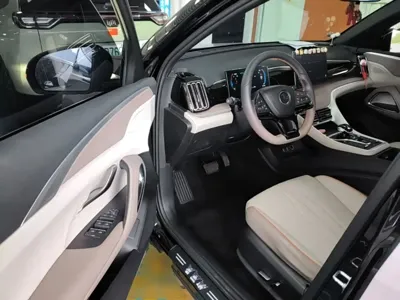 BYD Pro New Energy