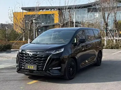 Denza Denza D9