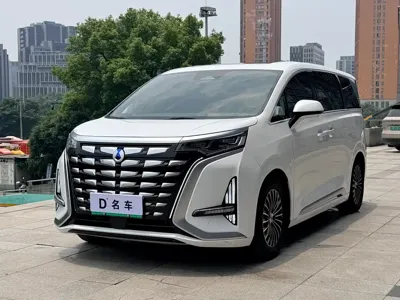 Denza Denza D9