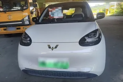Wuling Bingo