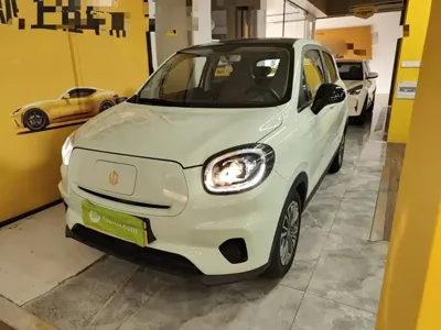 Leapmotor Leapmotor T03