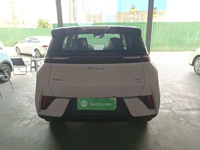BYD Seagull