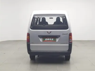 Wuling Zhiguang