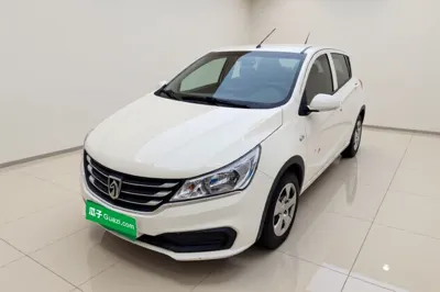 Baojun 310
