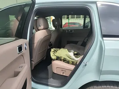 Li Auto Li L6