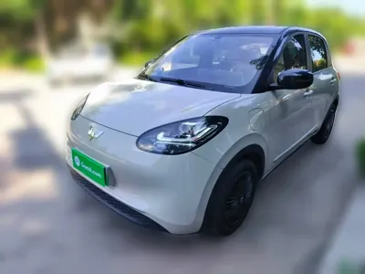 Wuling Bingo
