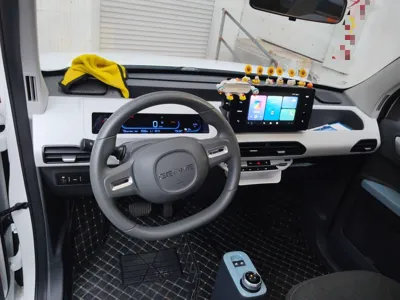 Geely Galaxy Panda