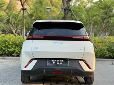 BYD Seagull