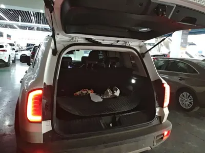 Haval Big Dog