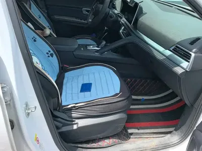 BYD Pro