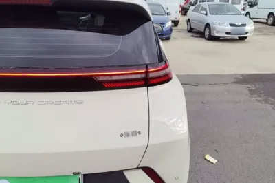 BYD Seagull