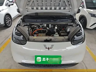 Wuling Bingo