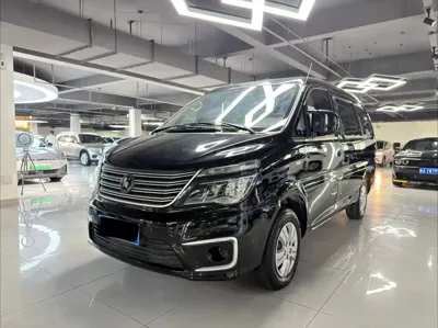Fengxing Lingzhi