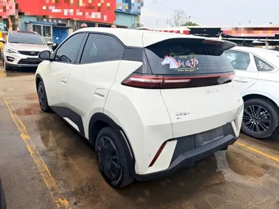 BYD Seagull