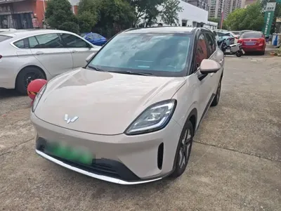 Wuling 缤果S