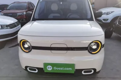 Geely Galaxy Panda